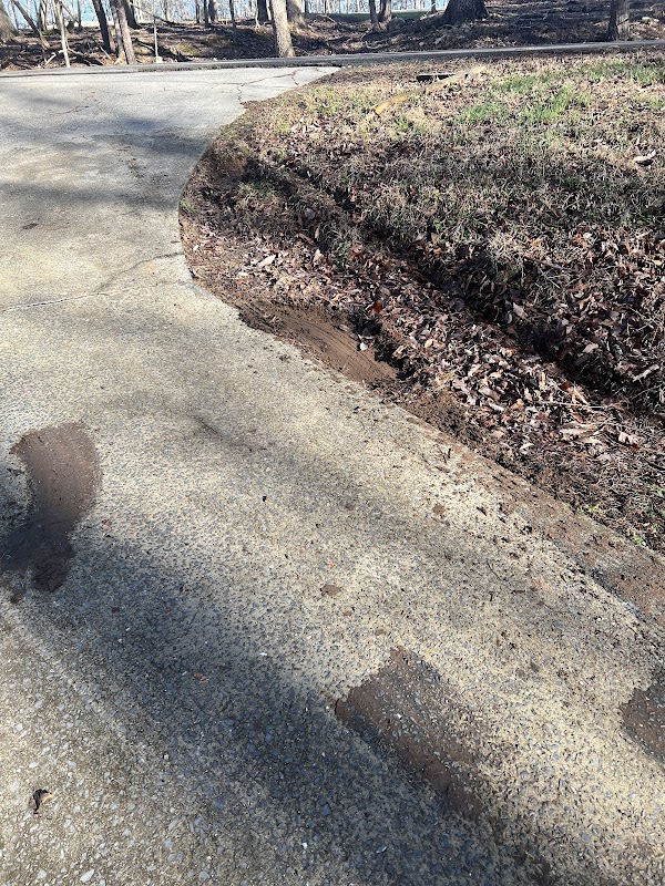 Bee Clean Dumpsters photo 3